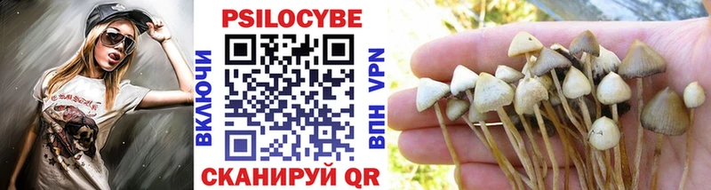 Псилоцибиновые грибы прущие грибы  Усть-Катав 